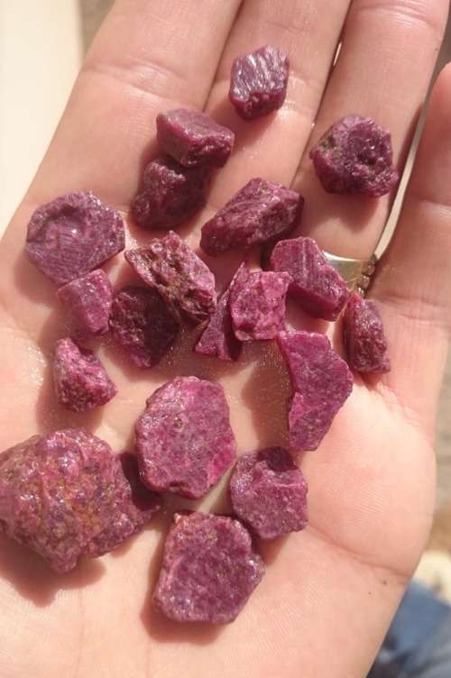 Rough Indian Rubies