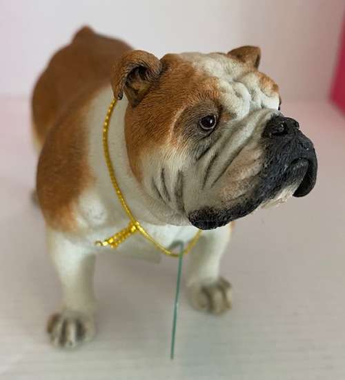 BEST IN SHOW HIGHLY DETAILED BULL DOG