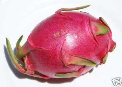 ***10  MIXED DRAGON FRUIT SEEDS  RESERVED FOR PvanE***