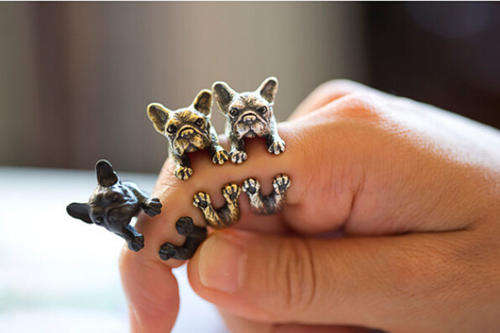 *** BULLDOG / BOSTON FASHION RING  - Silvertone ***