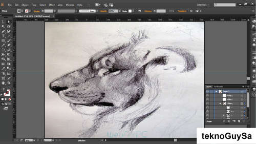 Adobe Illustrator 2021 (Windows) Once-off