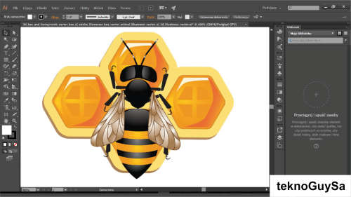 Adobe Illustrator 2021 (Windows) Once-off