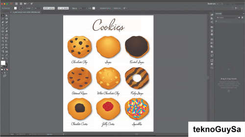 Adobe Illustrator 2021 (Windows) Once-off