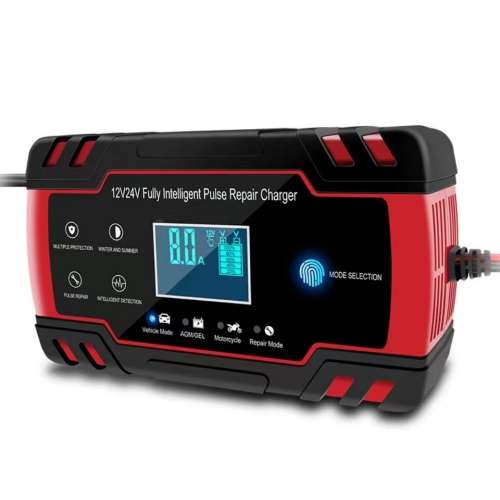 Battery Repair Charger 12V/24V