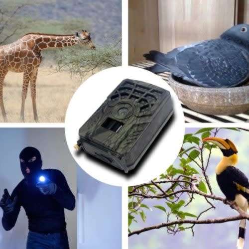 Outdoor Hunting Trail Camera Game Camera With Night Vision Waterproof Infrared Heating 720p
