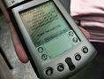 Palm V (old)