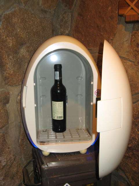 Beautiful EGG Wine cooler
