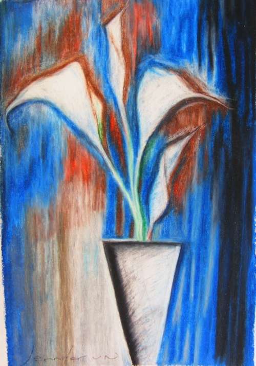 A Selection of Arum - Original Oil Pastel - Jennifer van Niekerk