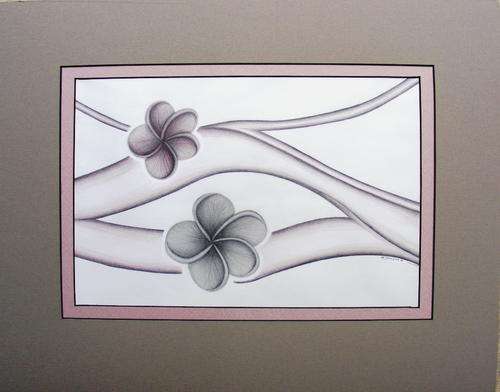 Frangipani - Original Graphite by Jennifer van Niekerk