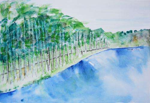 Tweed - Original Watercolour - Jennifer van Niekerk