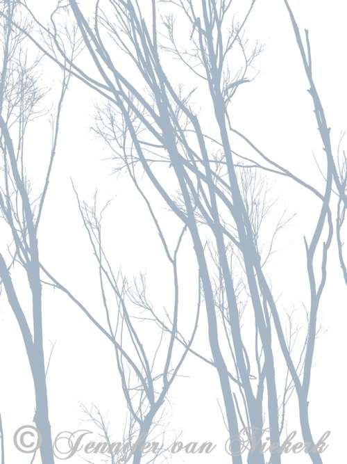 Eucalyptus Silhouette Iced Chiffon on White  [d]