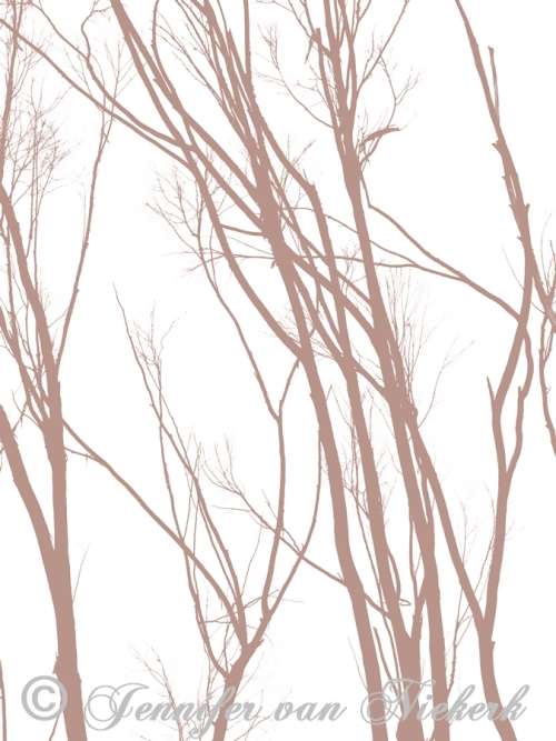 Eucalyptus Silhouette Coral on White  [d]