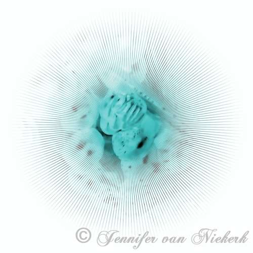 Aqua Pearl Line Nova  [d]