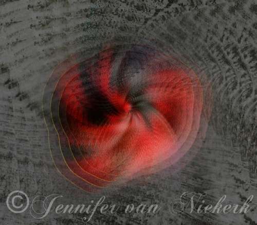 Seaborne Marble Spiral  [d]