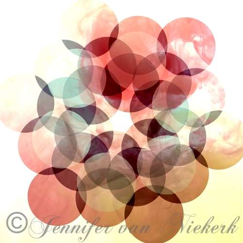 Rose Hexagon Bronze  [d]