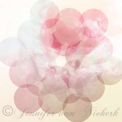 Rose Hexagon Soft  [d]