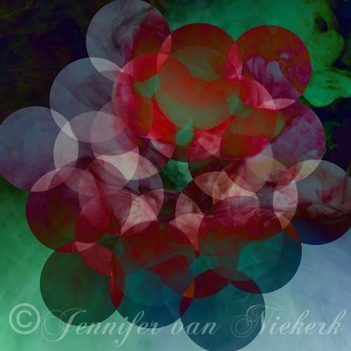 Rose Hexagon  [d]