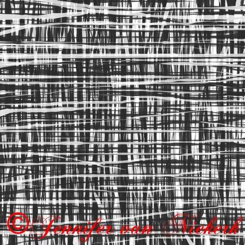 Black and White Weave  [d]