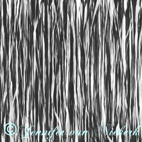 Black and White Forest  [d]