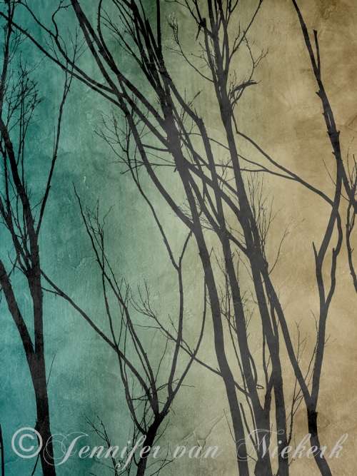 Eucalyptus Aqua Ombre [d]
