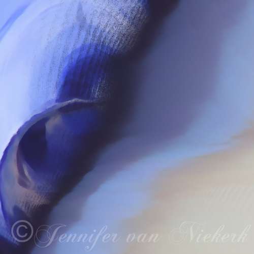 Blue Curve Abstract  [d]