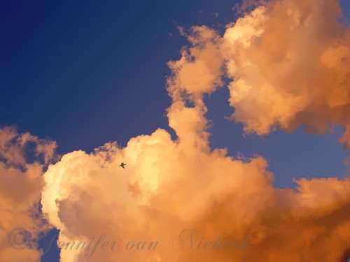 Luminescent Thunder Clouds  [d]