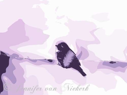 Sparrow in Pink Lavender  [d]