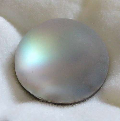 Beuatiful Round cut  ABALONE, 1/7.00 ct , 12 mm