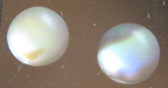 Abalone doublets Round shape Cabochon 4.80ct 7mm