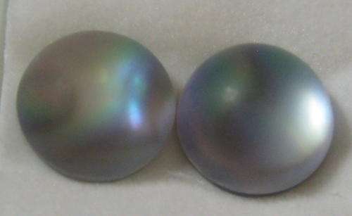 Abalone doublets Round shape Cabochon 7.80ct 10mm