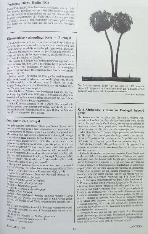 Lantern magazine (Jan 1988) Vol 37 no 1 Dias 88