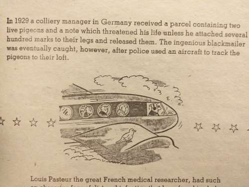 Another Giant Book of Fantastic Facts