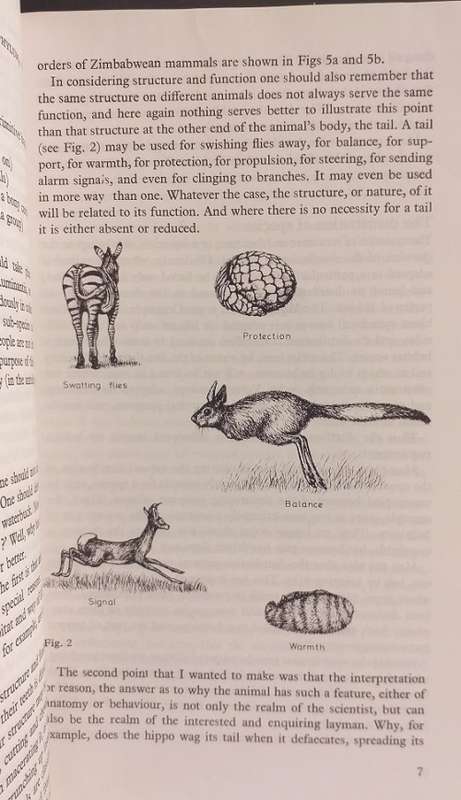 Bundu Series Wild mammals - A field guide and introduction to the mammals of Zimbabwe