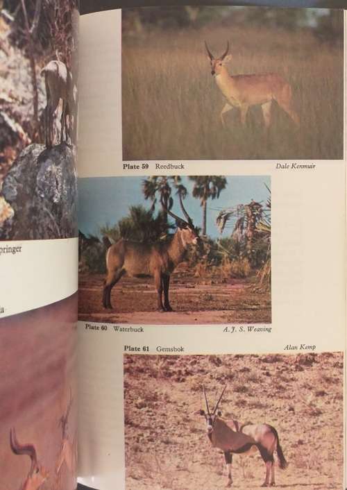 Bundu Series Wild mammals - A field guide and introduction to the mammals of Zimbabwe