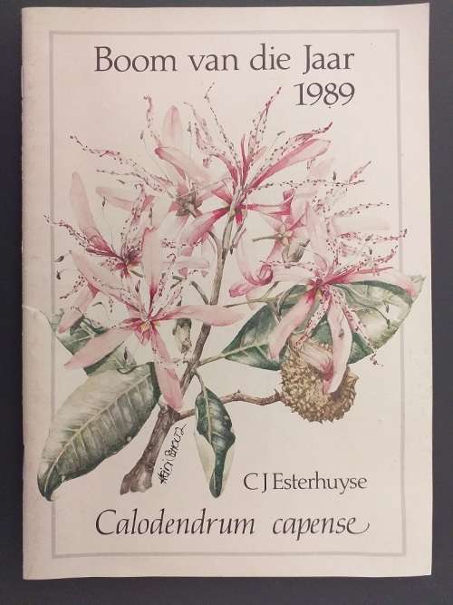 Boom van die jaar 1989 Calodendrum capense (CJ Esterhuyse)