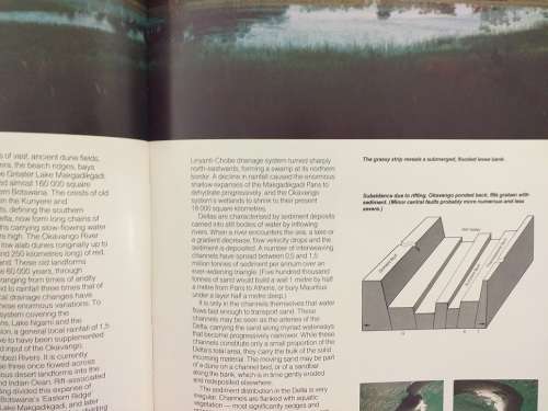 The Swamp Book: A view of the Okavango (Forrester, Murray-Hudson & Cherry)