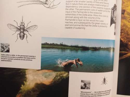 The Swamp Book: A view of the Okavango (Forrester, Murray-Hudson & Cherry)