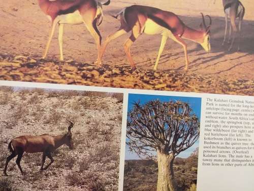 The Splendour of South Africa (RIB Webster) Large coffee table book