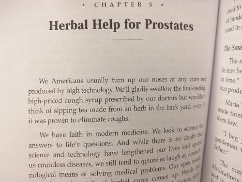 How to fight prostate cancer & win (William L. Fisher)