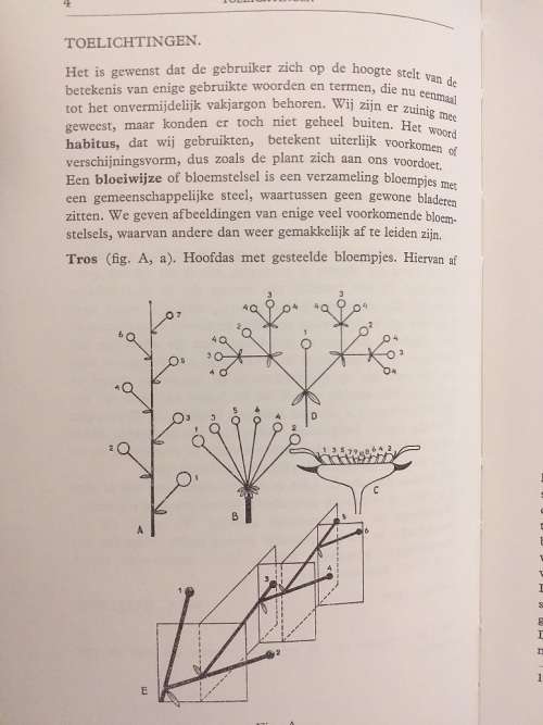 Buekers` Plantenboek (Dr PG Buekers)- Nederlandse teks plantkunde boek