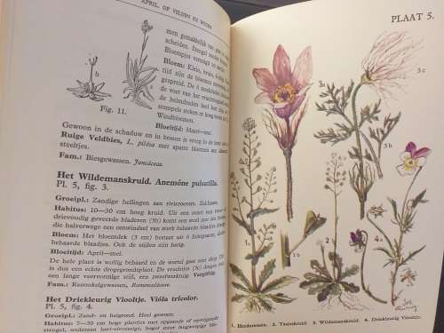 Buekers` Plantenboek (Dr PG Buekers)- Nederlandse teks plantkunde boek