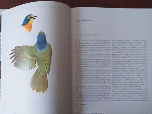 Shrikes of Southern Africa (Tony Harris, Graeme Arnott)