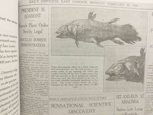 A Newspaper History of South Africa (John Cameron-Dow) Published 2010
