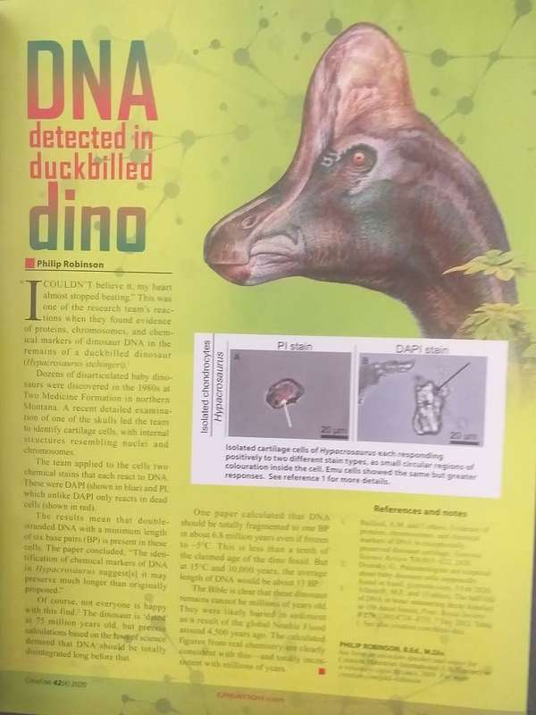 Six Issues of Creation Magazine (Creation.com)