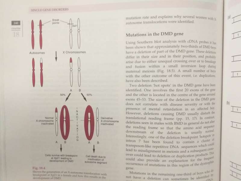 Emery`s Elements of Medical Genetics (R Mueller, I Young)