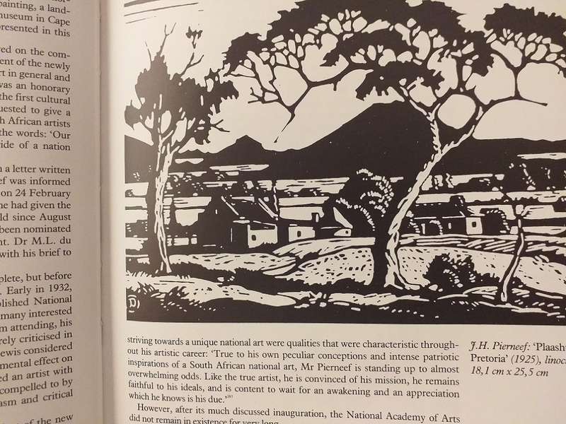 JH Pierneef His life and his work (PG Nel)