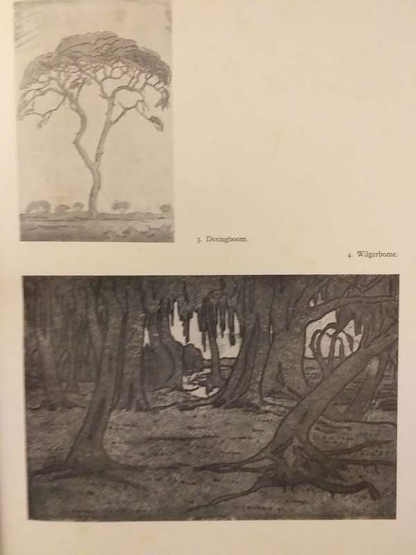 Pierneef: Die man en sy werk (JFW Groskopf)