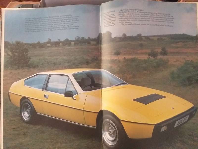Everyone`s Book of Classic Cars (Peter Roberts)