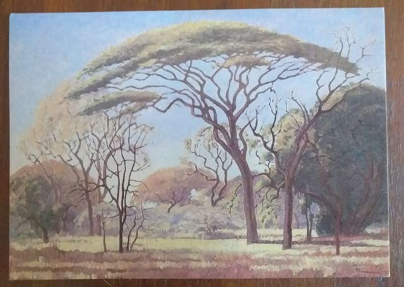 Postcards with topic JH Pierneef prints - all new unused condition x24 SOLD AS ONE LOT