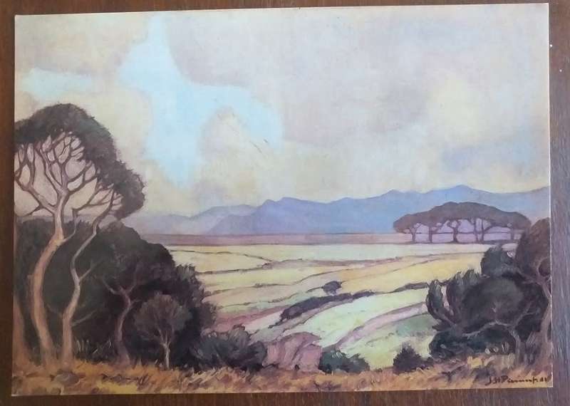 Postcards with topic JH Pierneef prints - all new unused condition x24 SOLD AS ONE LOT